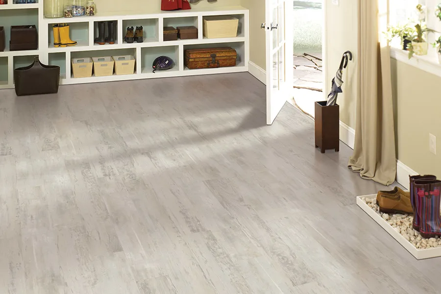 light gray wood flooring, open door, and sunlight. Shelves display shoes and accessories